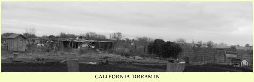 california dreamin